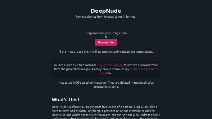 DeepNude — бесплатная нейросеть   для раздевания девушек (18+). Бесплатная версия с ограниченным функционалом, есть платные тарифы.