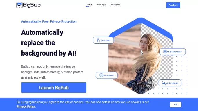 BgSub — бесплатная нейросеть   для редактирования изображений. 