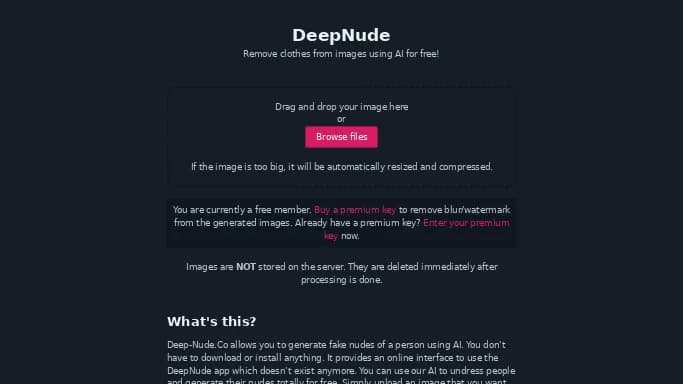 DeepNude — бесплатная нейросеть   для раздевания девушек (18+). Бесплатная версия с ограниченным функционалом, есть платные тарифы.
