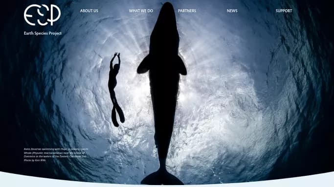 Earth Species Project — бесплатная нейросеть  undefined. 