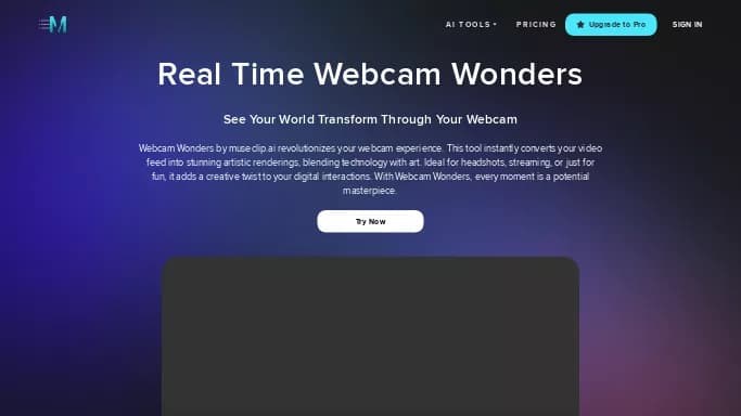 Webcam Wonders — платная нейросеть   для редактирования видео. 