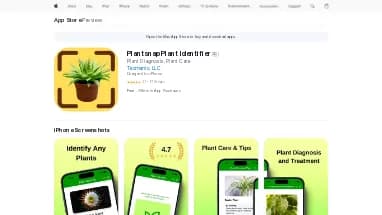 Нейросеть PlantIdentify - Полезные ИИ,Продуктивность