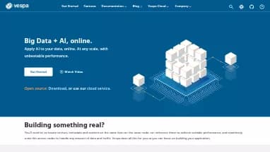 Нейросеть Vespa - Анализ данных,Разработка ПО,Поисковые системы