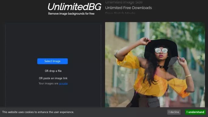 UnlimitedBG — бесплатная нейросеть   для редактирования изображений. 