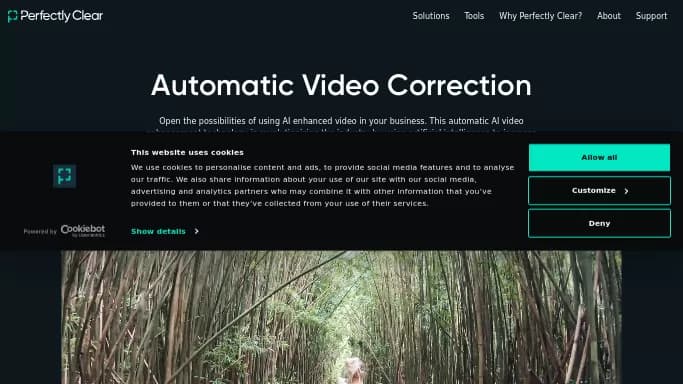Perfectly Clear Video — платная нейросеть для редактирования изображений. Бесплатная версия с ограниченным функционалом, есть платные тарифы.