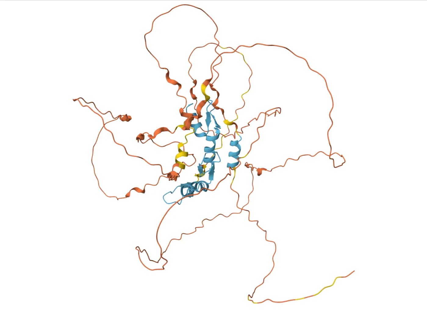 Трехмерная структура белка KLF4